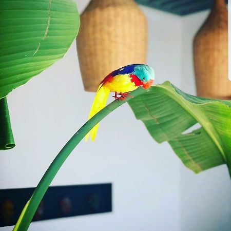 فيلا Art House الجديدة المظهر الخارجي الصورة